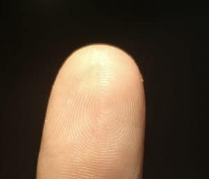 Fingerprint - Biometrie